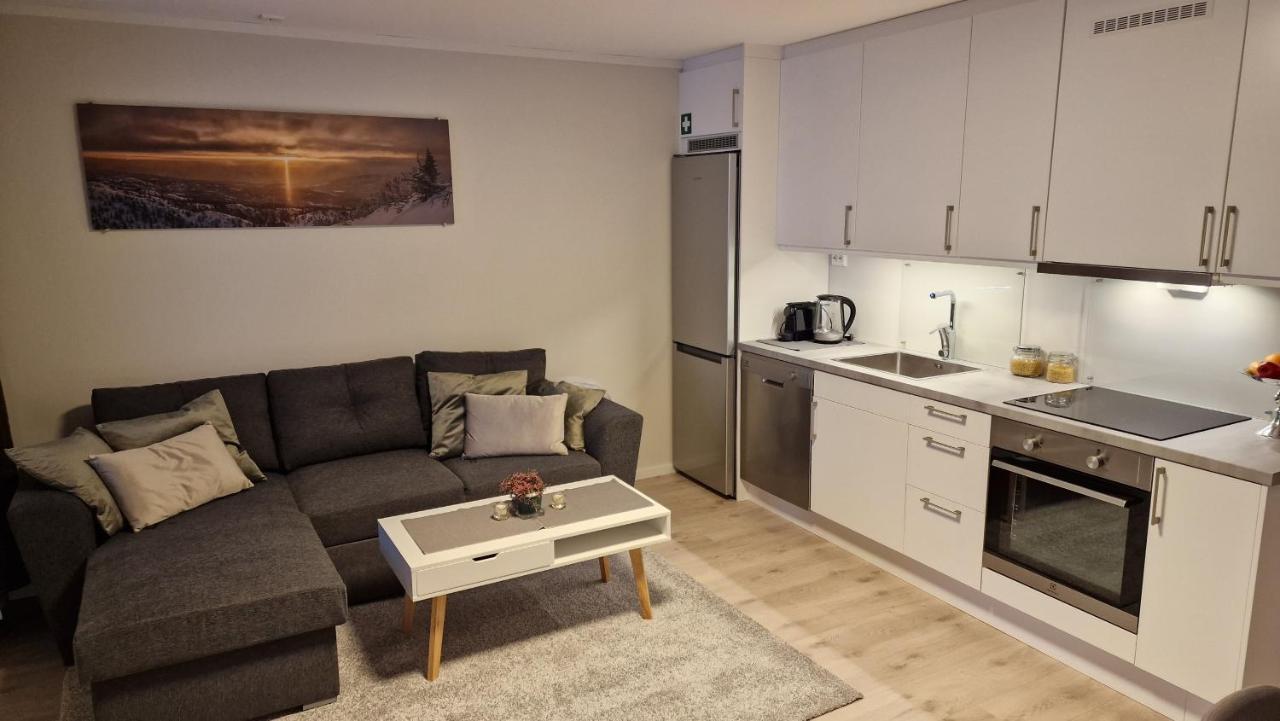 Haugetuft Apartments Amot  Εξωτερικό φωτογραφία